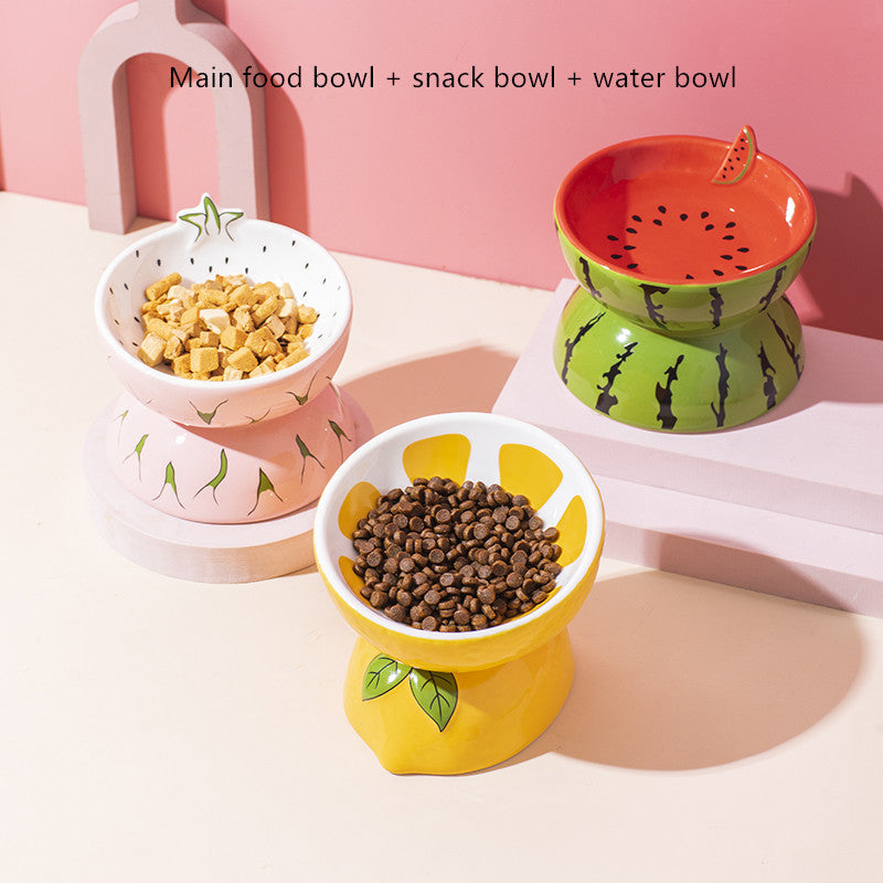 Elevated Ceramic Pet Feeding Basin | Ergonomic Tilted Cat & Dog Bowl