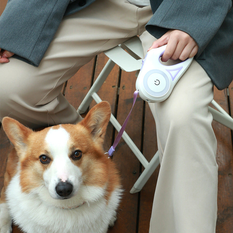 Premium Retractable LED Dog Leash | Automatic Spotlight Tape & Collar Set