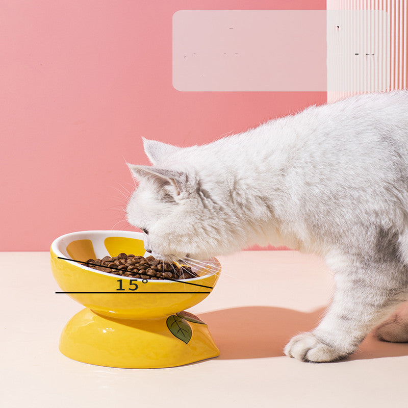 Elevated Ceramic Pet Feeding Basin | Ergonomic Tilted Cat & Dog Bowl